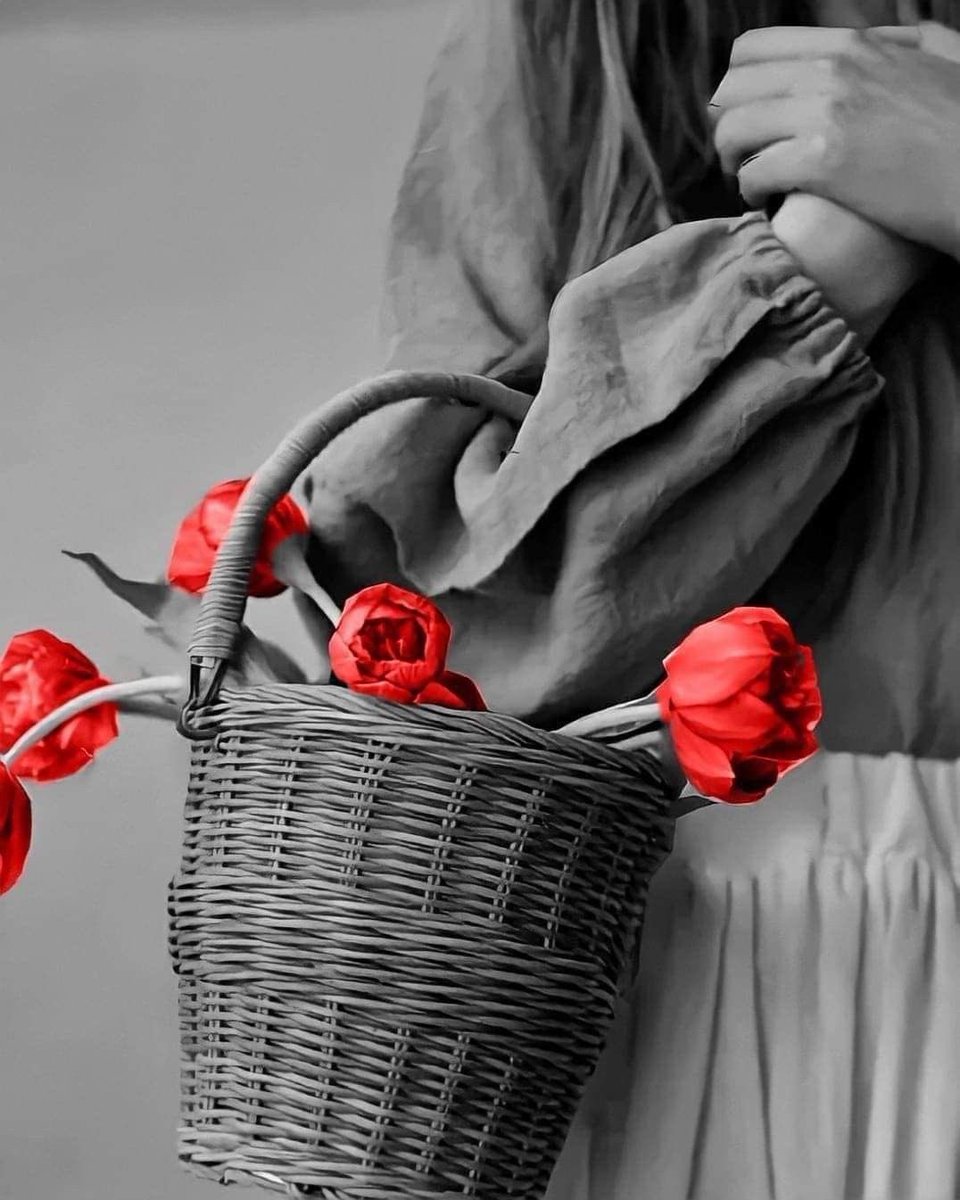 عندما.ترحل 
لا تخبرني 
غادر و حسب 
دعني أعتقد
أن  الفقد  لم يأت منك
اتركني أرتب.الوهم 
في قلبي.
أننا لم نفترق 
بل تبددّنا كـ غيمتين 
في ريح واحدة 
و أن  الحب 
سقط من ثقل جناحيه 
لا من هشاشة يدك