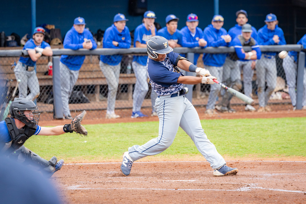 Florence-Darlington Technical College tweet media