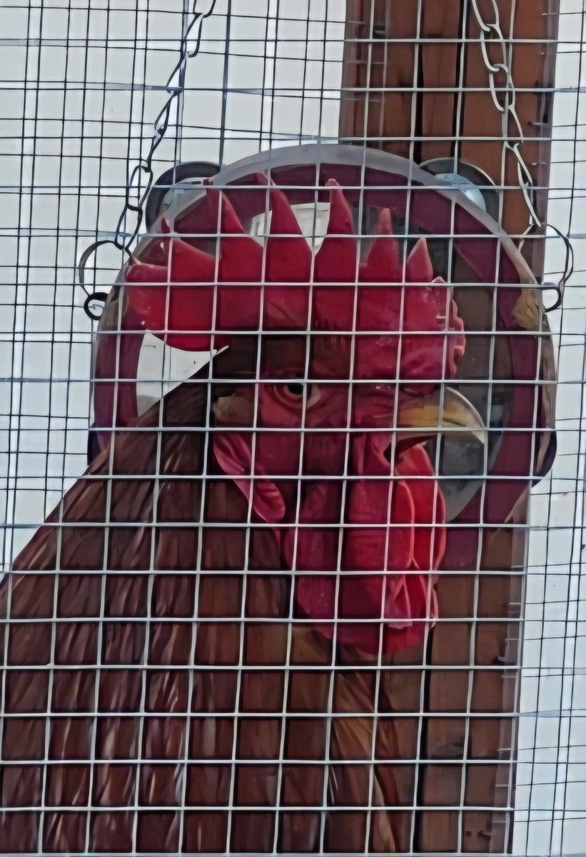 If Hopper Season 1 was a chicken...I saw it, now you've seen it, you're welcome! 🤷‍♀️😎