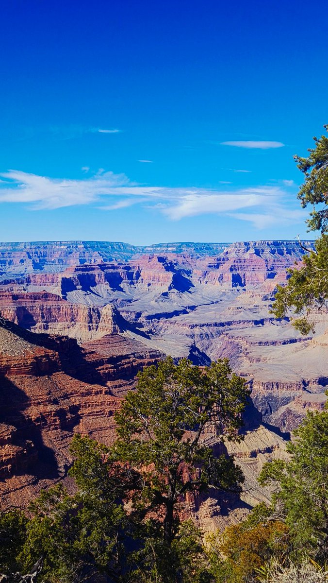 BornOnAPanda's tweet photo. Il Gran Canyon. https://t.co/mVZqe5PzjL