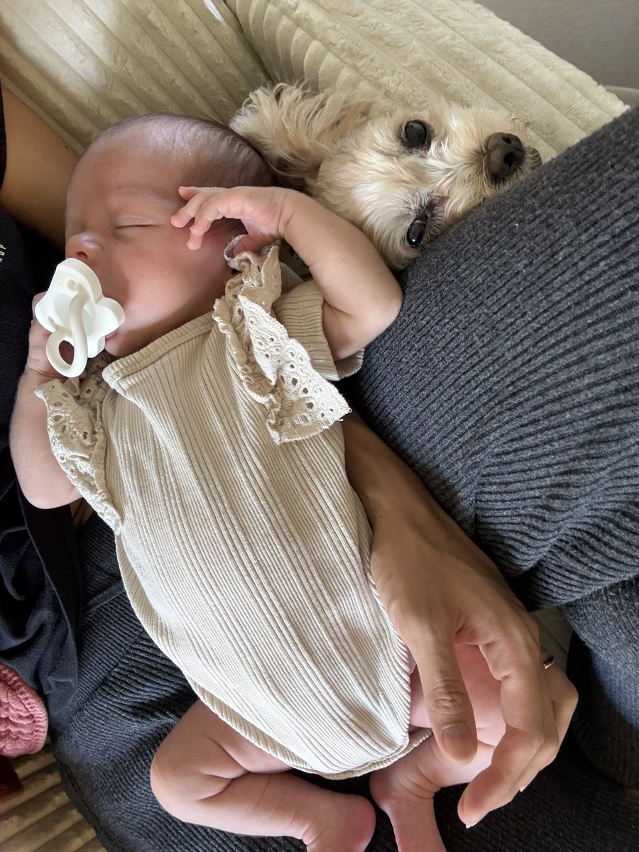 Yuzu🇯🇵🇺🇸🏄‍♀️ (@yuzupiiing) / Posts / X