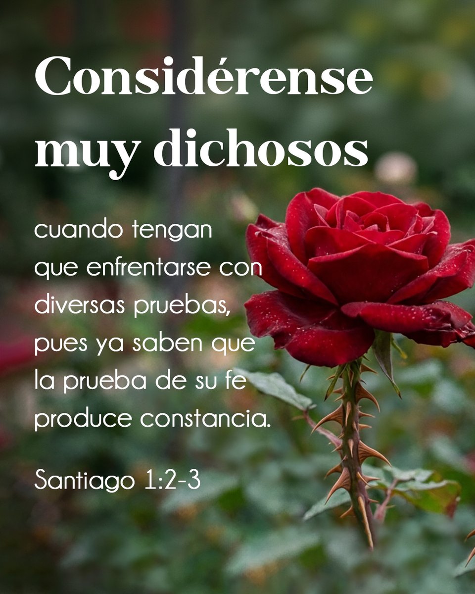 Cerca Está tweet media