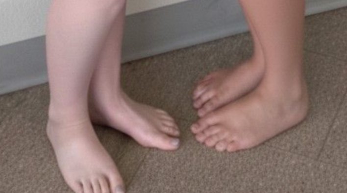 The White Dolphin tweet media