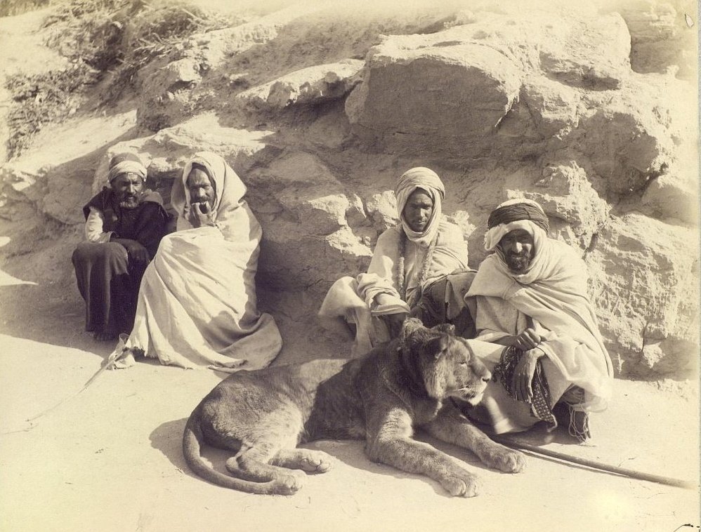 🇩🇿 An Algerian group with a lion. Algeria, last third of the 19th century.