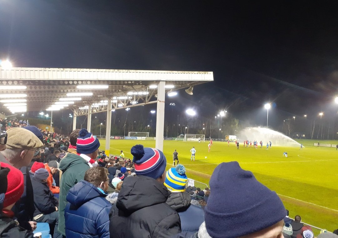 ShelsOTD tweet media