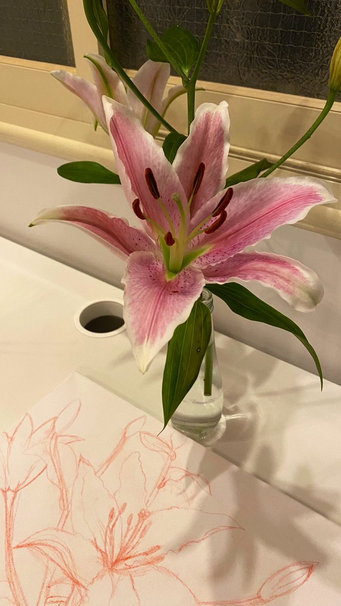 Remas ⚕ tweet media