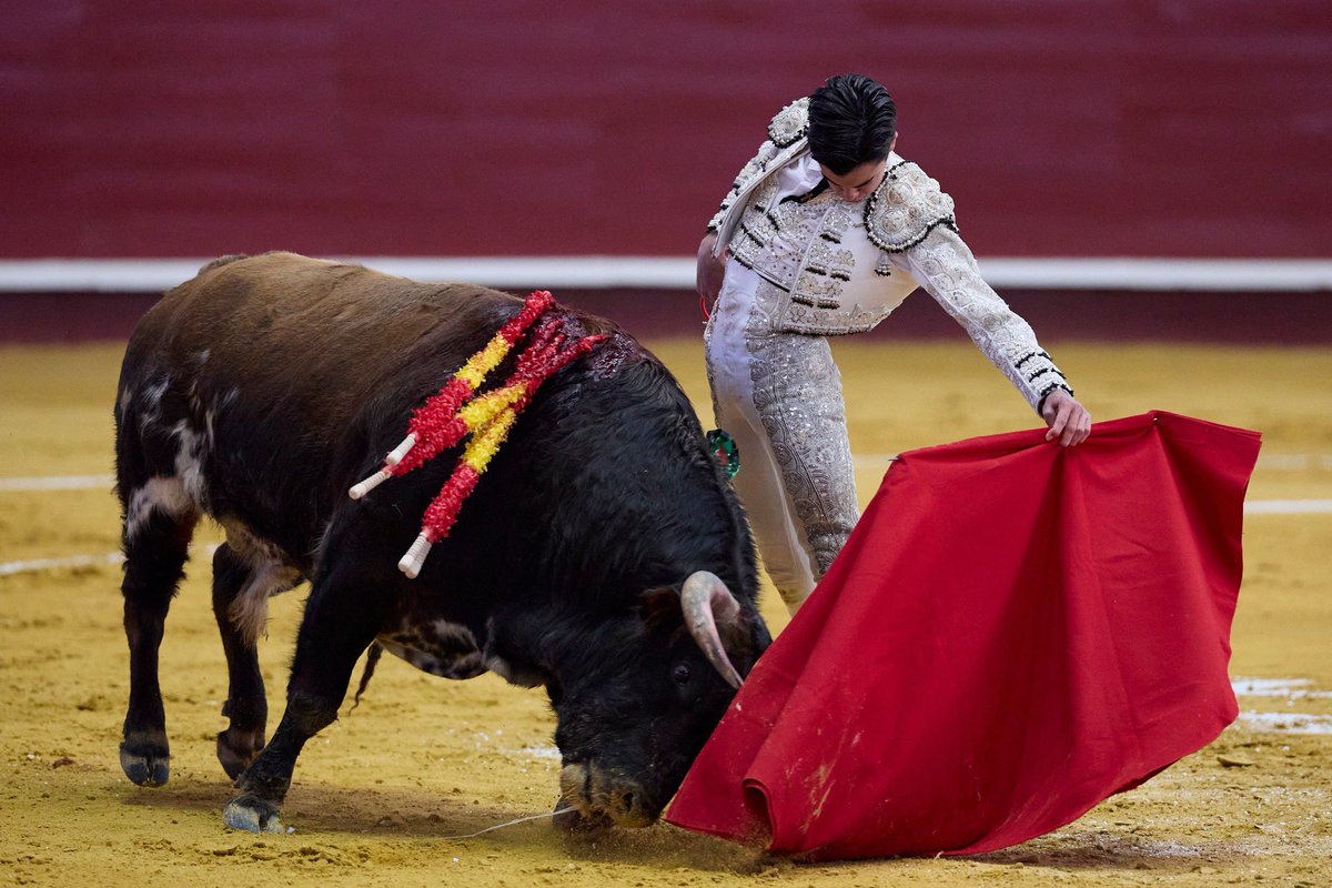 Plaza de Toros La Flecha tweet media