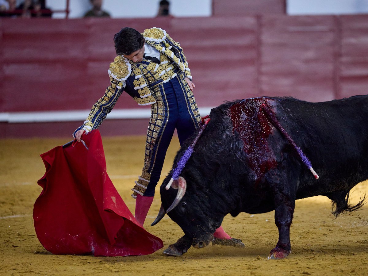 Plaza de Toros La Flecha tweet media