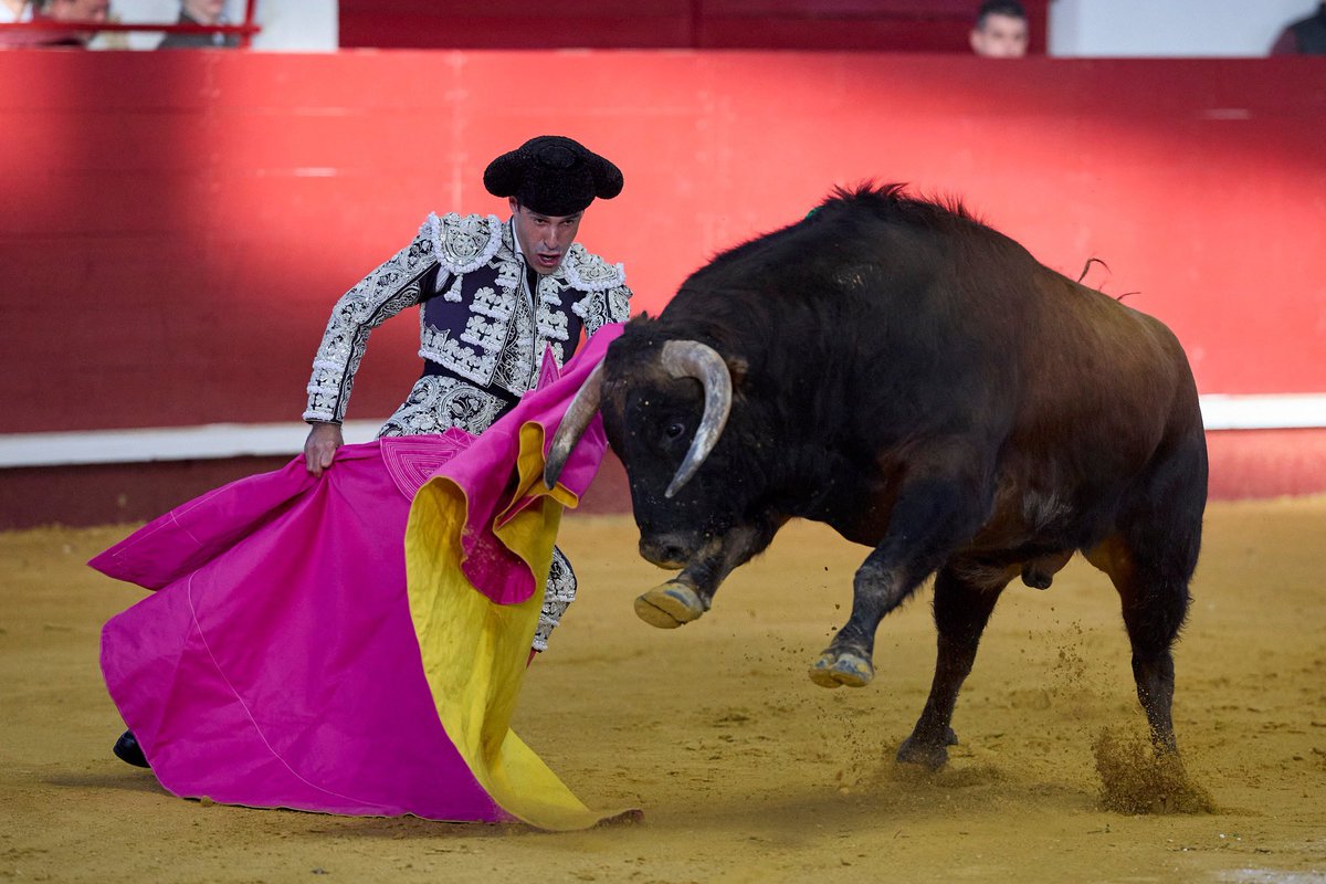Plaza de Toros La Flecha tweet media