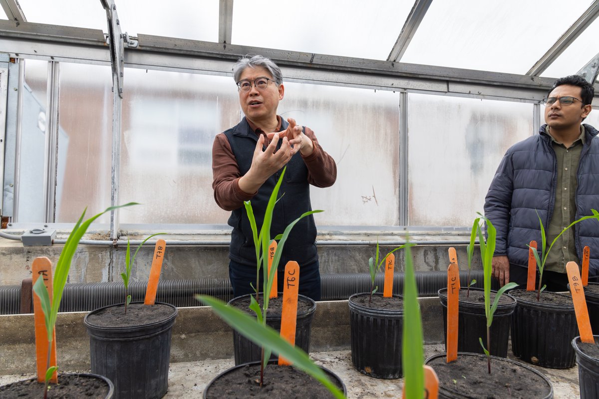 South Dakota State University tweet media