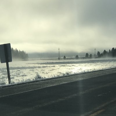 not sure tweet media