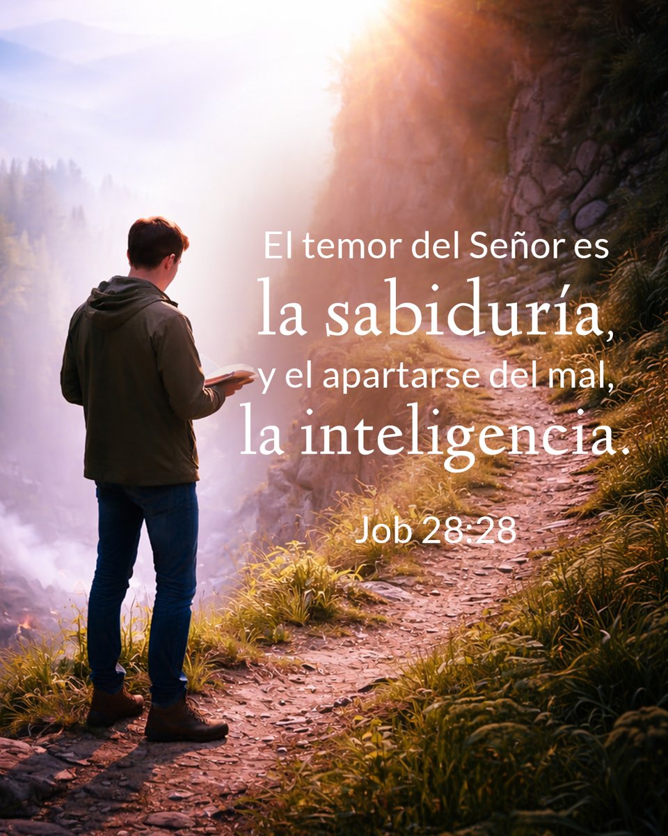 Cerca Está tweet media