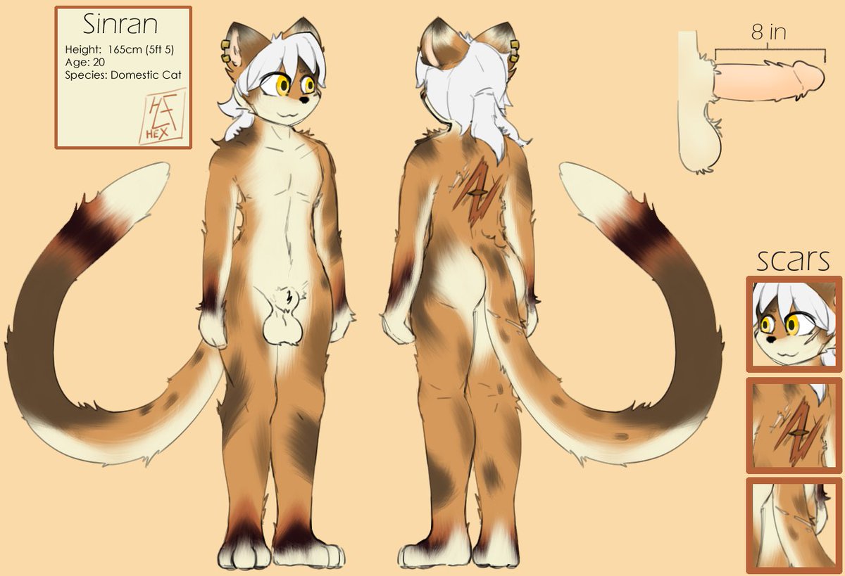 extension cord 🔞 tweet media