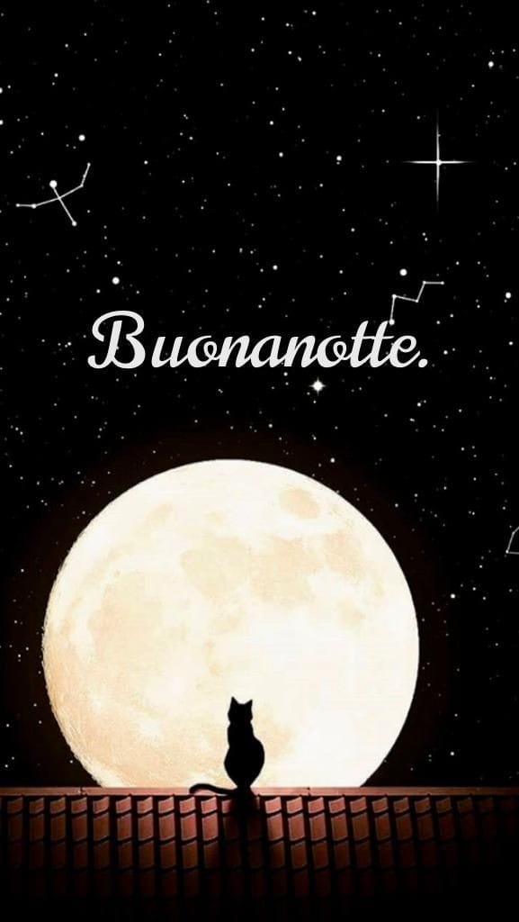 Laura MB7 tweet media