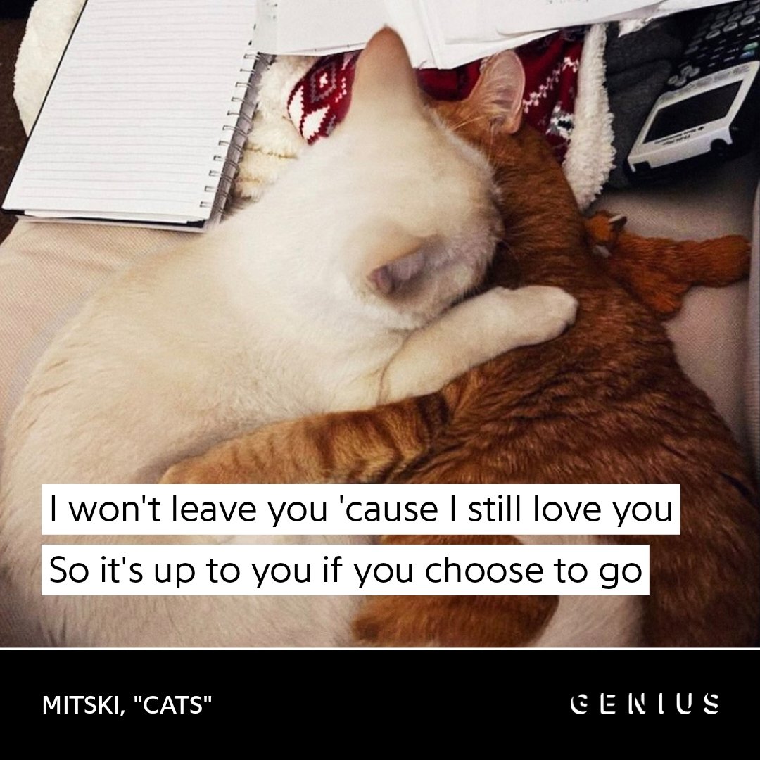 Cats - Mitski