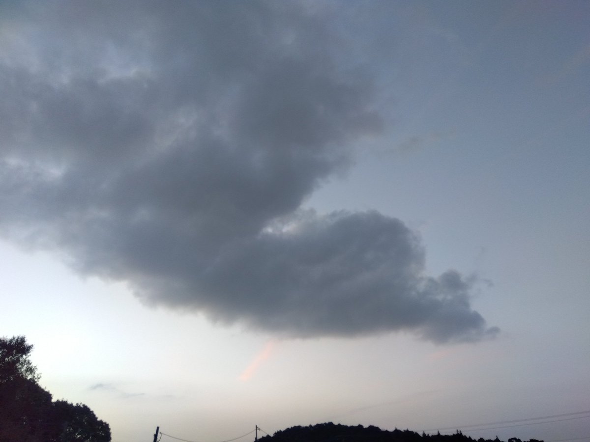 くすくま tweet media