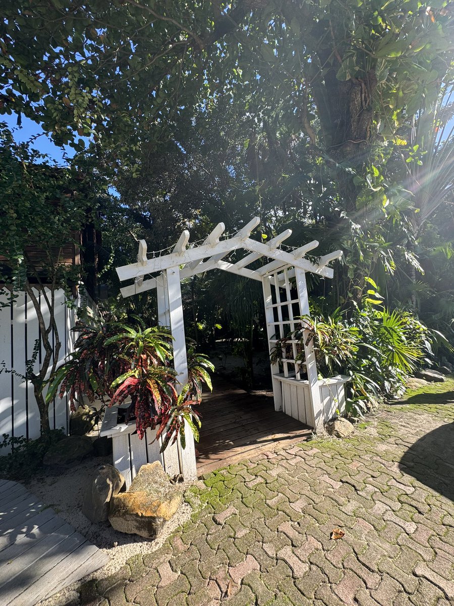 Azure Del Mar Boutique Resort Placencia Belize 🇧🇿 Central America - Where the jungle meets the beach

youtu.be/6tmWVU-iQnU?si…

My new travel video is available now at my YouTube channel Shivayoga world and travel. Please subscribe and share.
azuredelmar.com
Peace on Earth