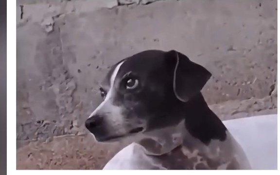 monsieur_btb tweet media