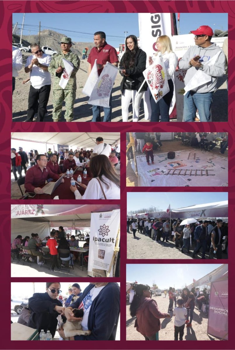 Rocío Bárcena Molina tweet media