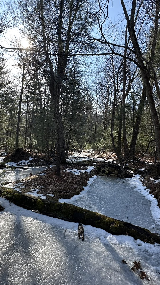 HikingLawyer's tweet photo. Beautiful day putting miles in at Pine Grove Furnice State Park

#hikingadventures #outdoorphotography #feelslikespring https://t.co/g1JqZ9Uy6s