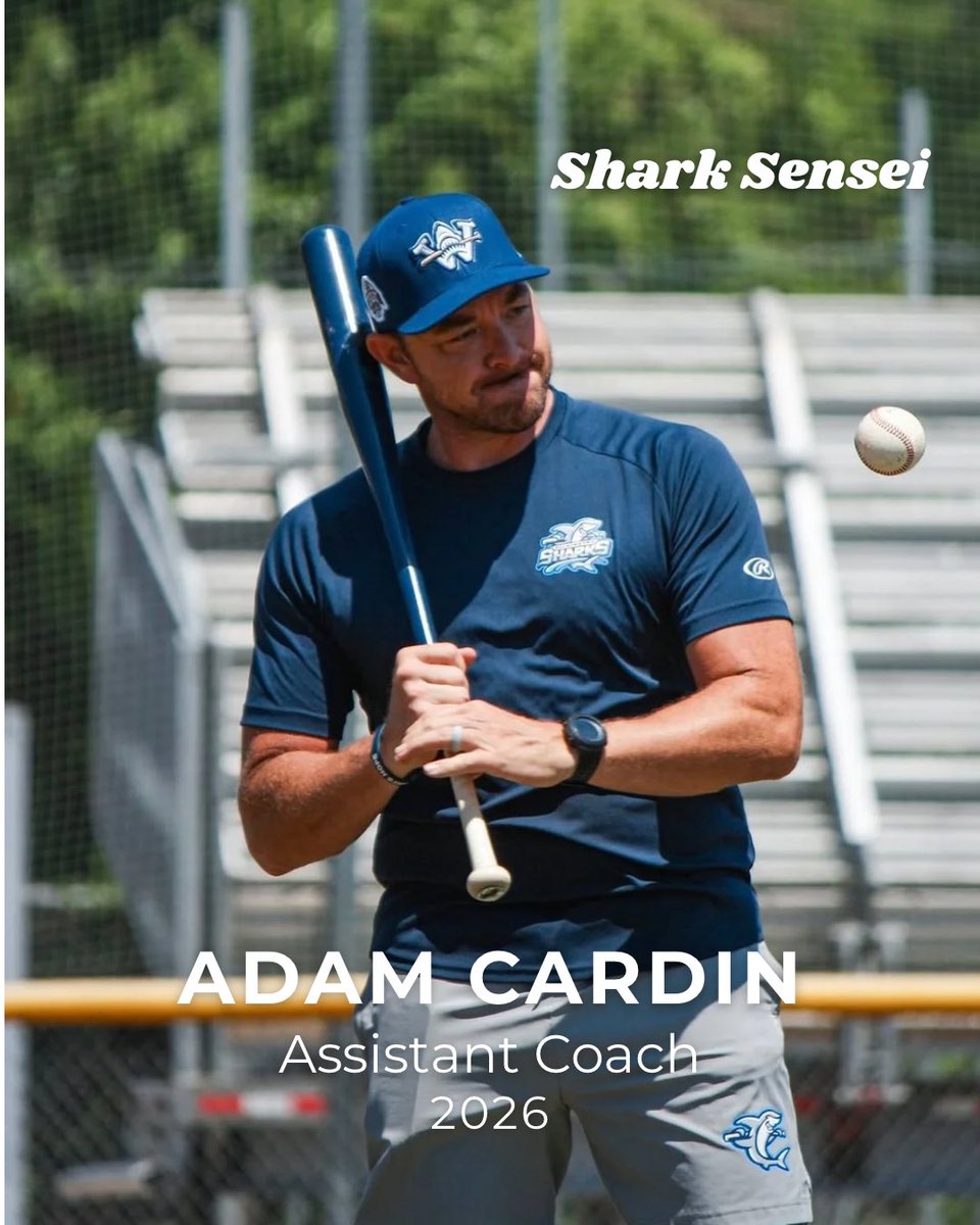 Wilmington Sharks tweet media