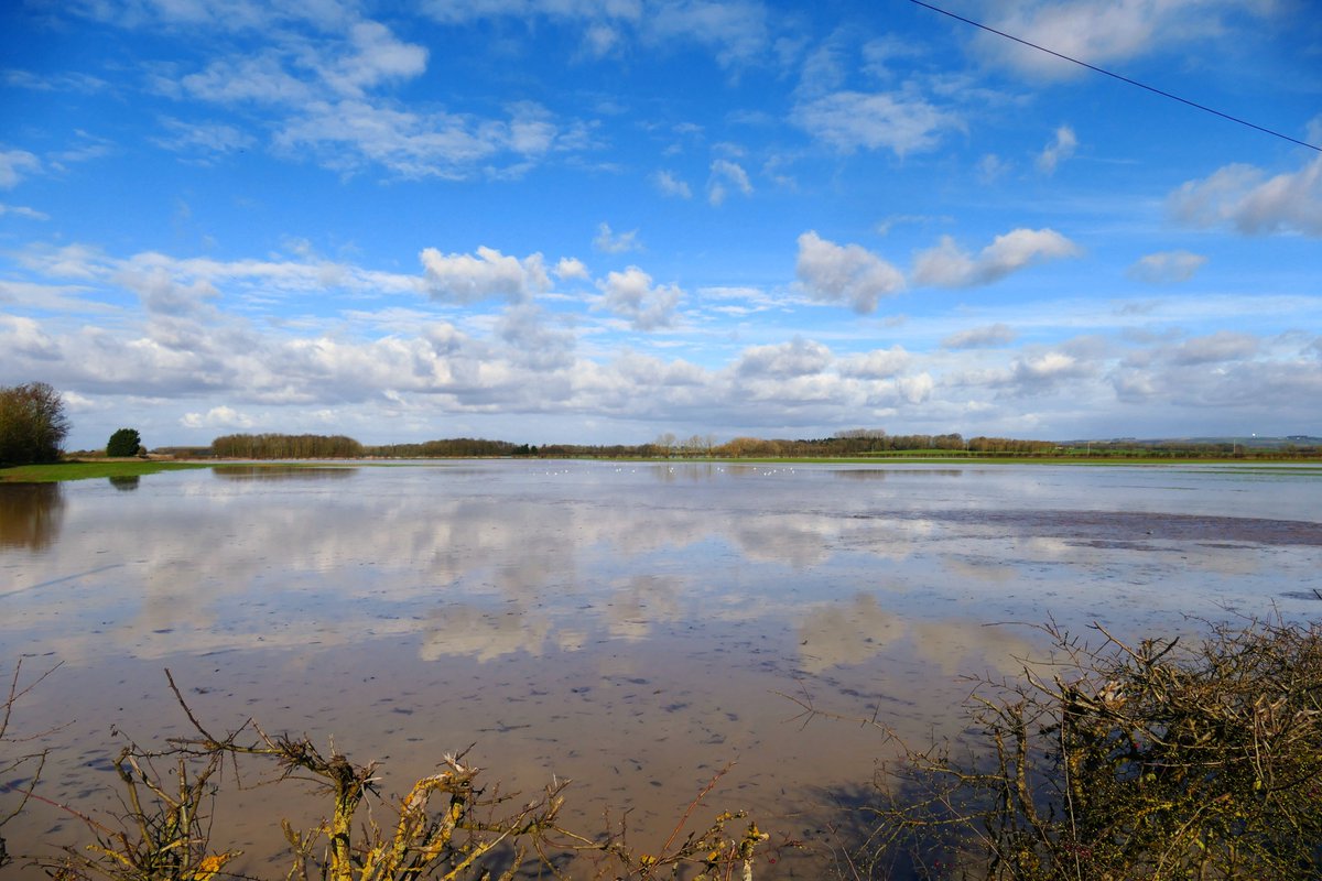 James Akrill - Frozen Bubble Photographer tweet media