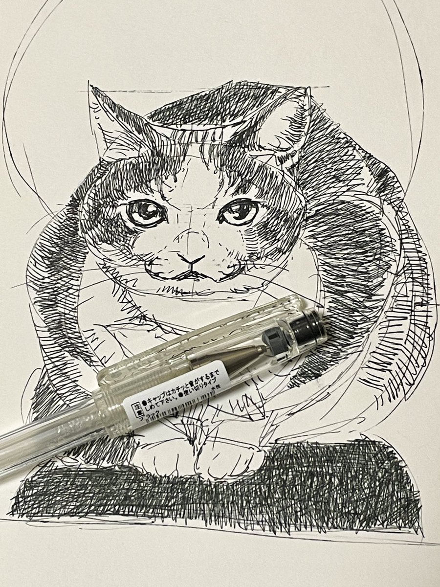 スケッチしてたらペンのインクがなくなってしまった…
もう寝ます
おやすみにゃさーい