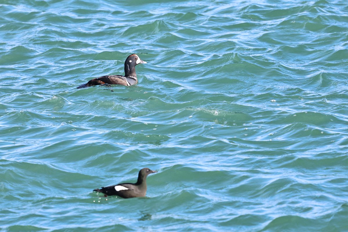 Cian Cardiff tweet media