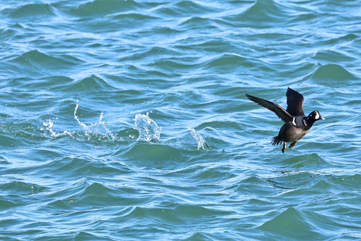 Cian Cardiff tweet media