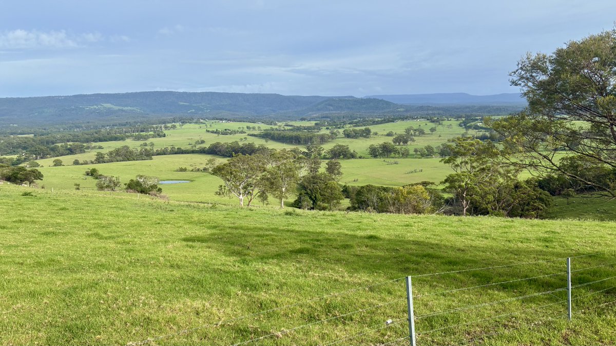 Peter Webster tweet media