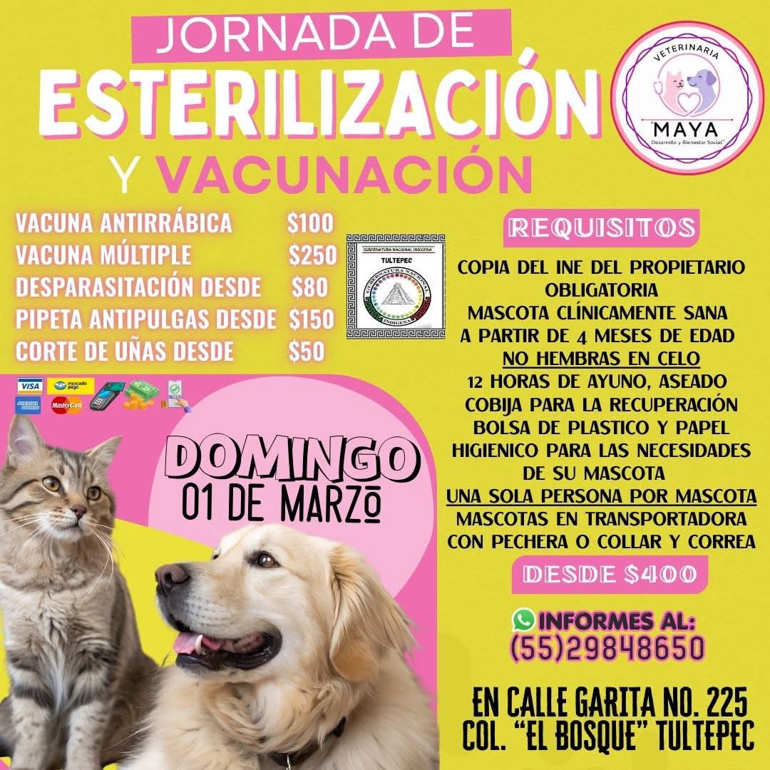 Proyecto Six Pack tweet media