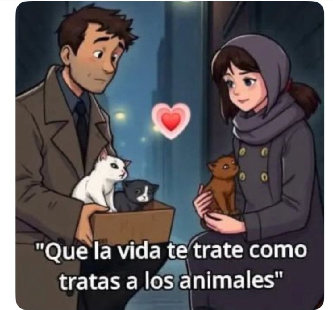 Manu Saenz💛💛 (@manusaenzvolvio) on Twitter photo 