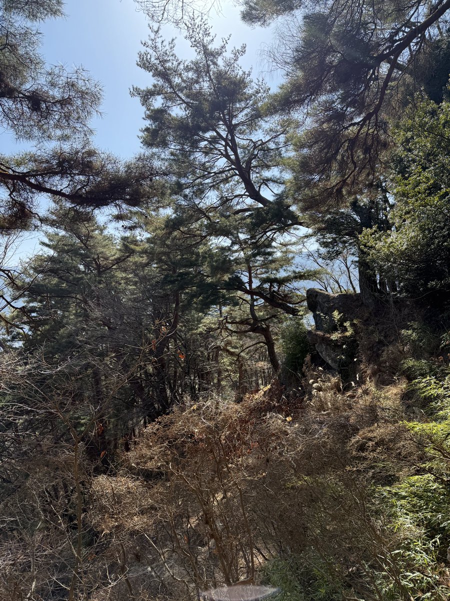 亜城 (@tkzw_b) / Posts / X