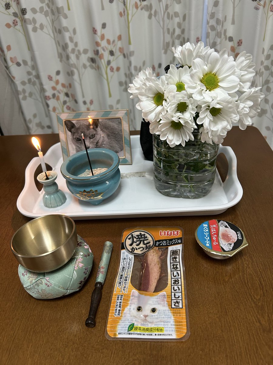 yo.ke.na tweet media