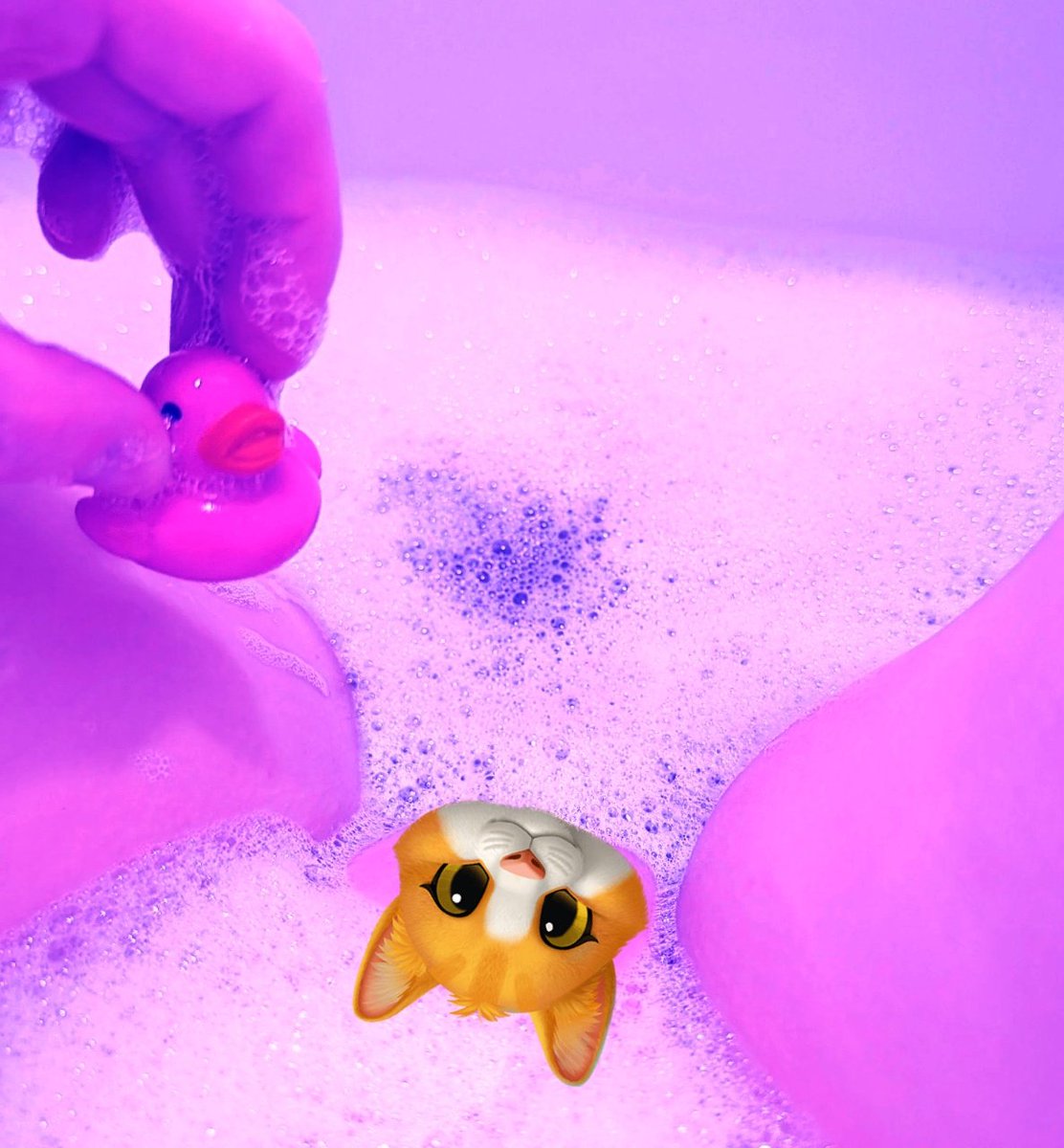 𝓒.𝓚 tweet media