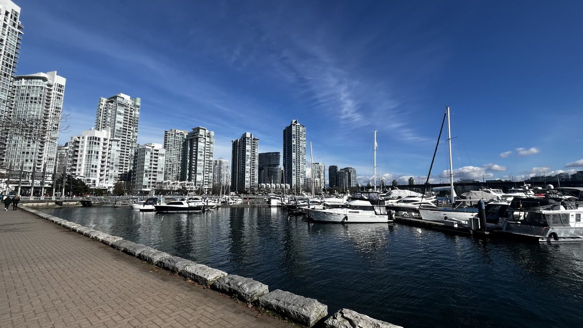 SparkyIC's tweet photo. @RGCCeltic Great listen. Lasted my entire 13k run on the Vancouver seawall. Sack the Board. https://t.co/mvMeSJ0QHE