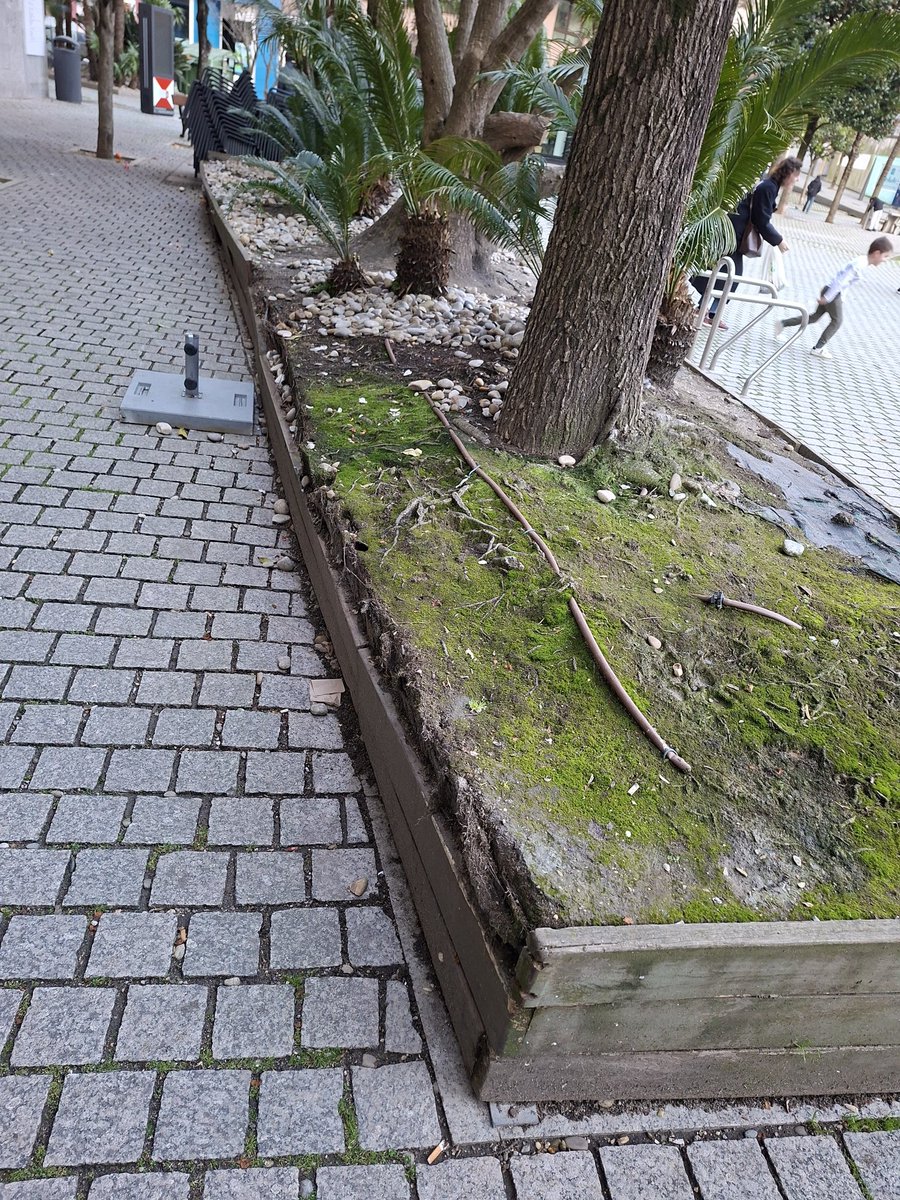 josechorc's tweet photo. Así está a praza da
Independencia en Vigo. Onde cada día xogan moitísimos nenos e nenas...
"Caballero, ti ao teu"
@Farodevigo 
@RadioVigo 
@abelcaballero 
@treintayseis_36 
@Vigo__e 
@Vigoalminuto 
@vigohoy 
@Vigoblog 
@bngvigo 
@PPdeVigo 
@vigo_psdegpsoe
@vozvigo https://t.co/WkwiBbDFrZ