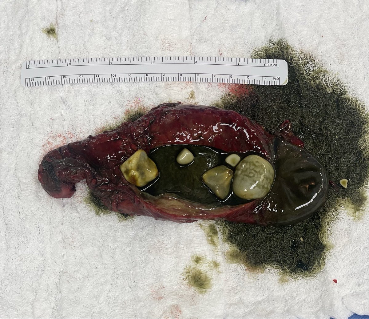 Dr.ALHARTHI Mohammed tweet media