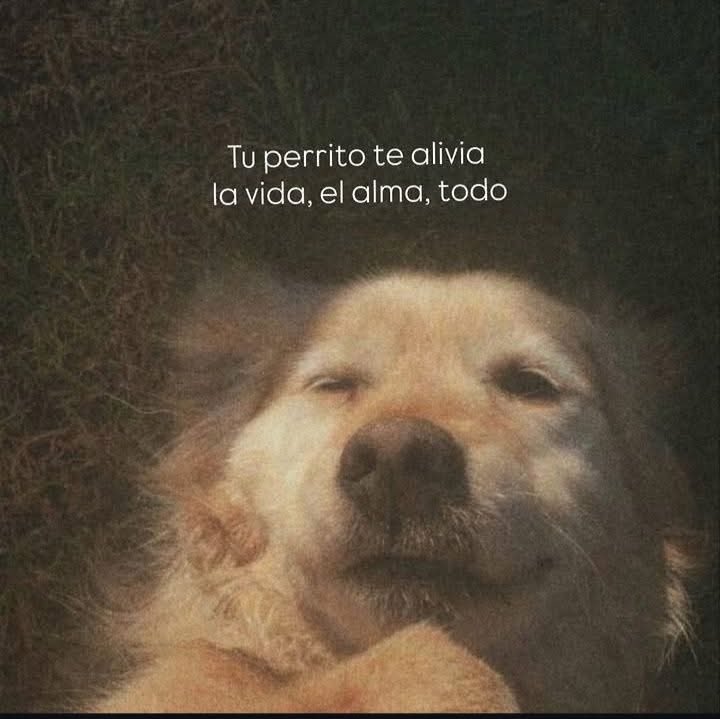 Gracias por tanto 🙏🏽
