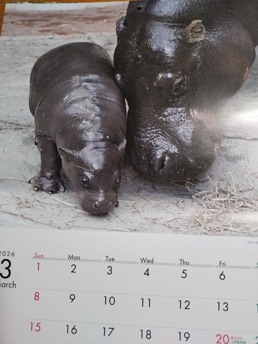 ペコちゃん (@peco5peco7peco) / Posts / X