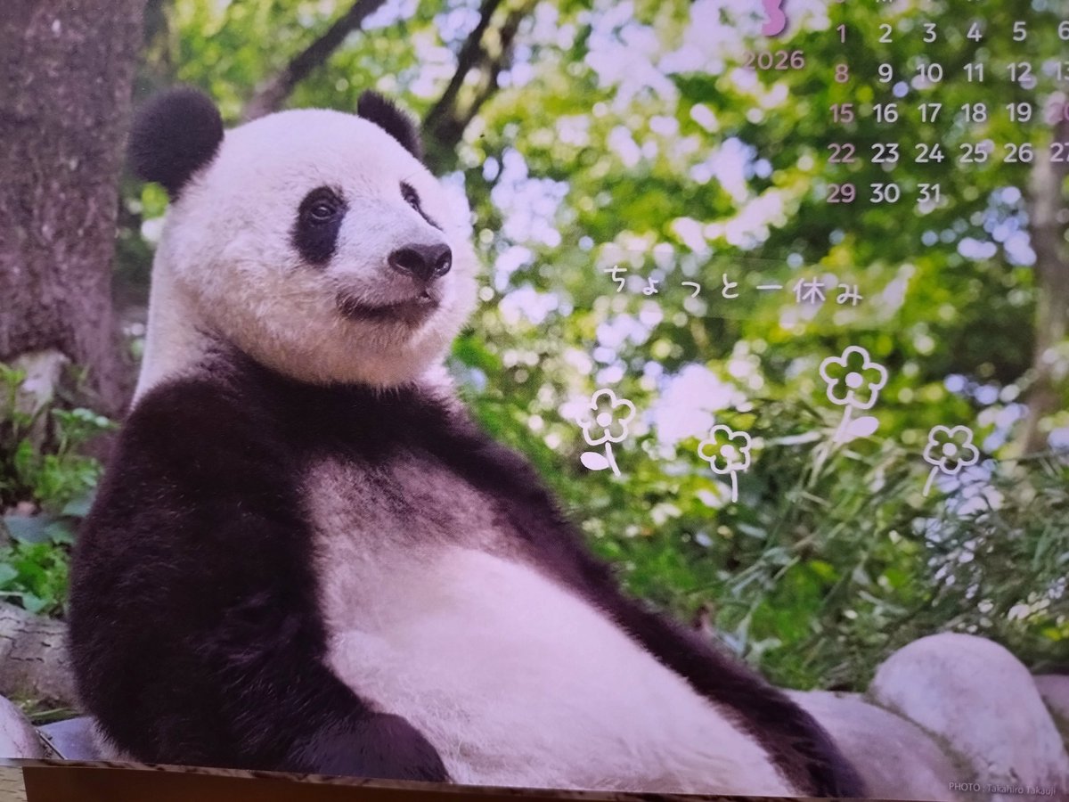 ペコちゃん (@peco5peco7peco) / Posts / X