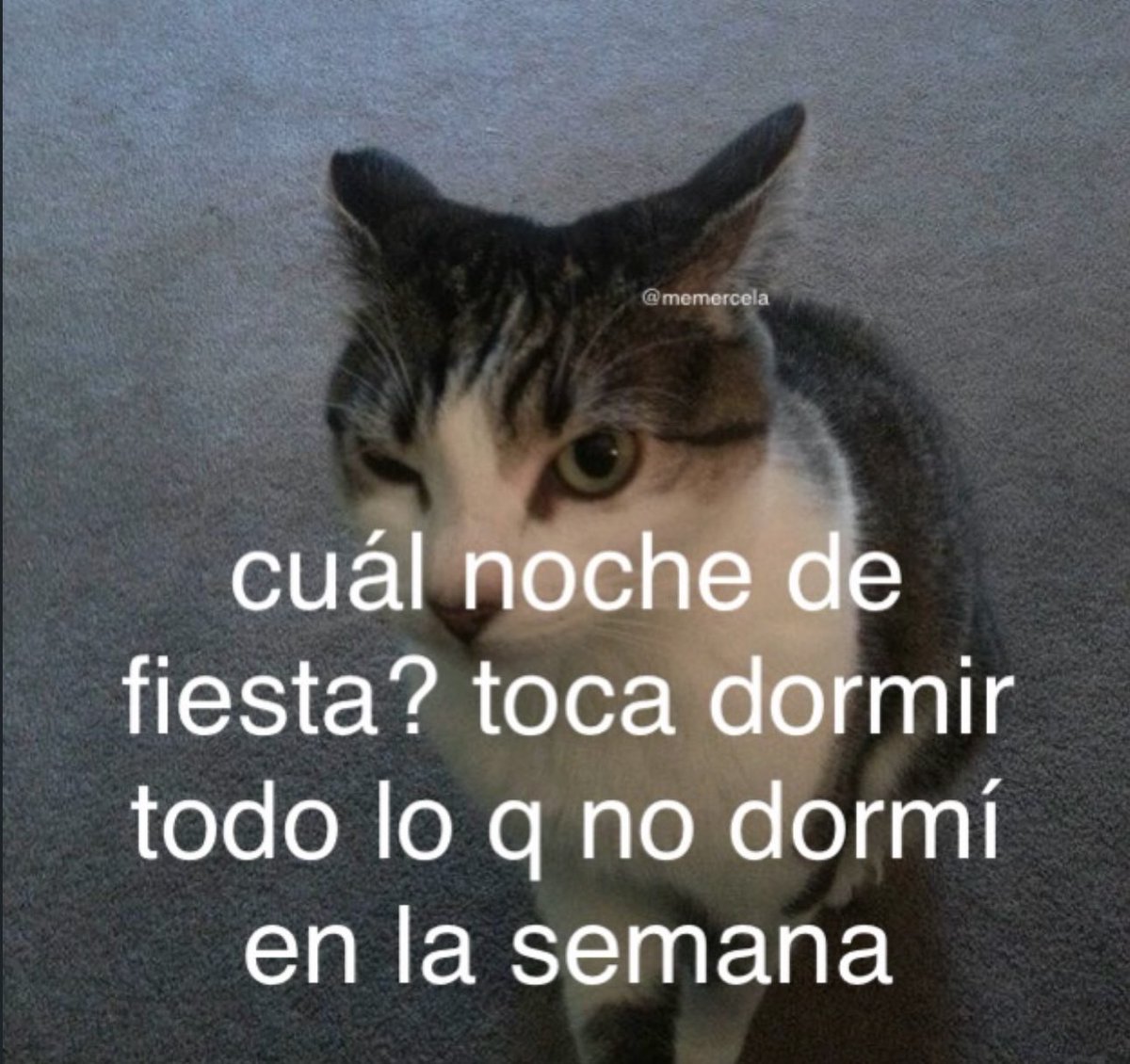 piña sin pizza (@skereunpesado) on Twitter photo 