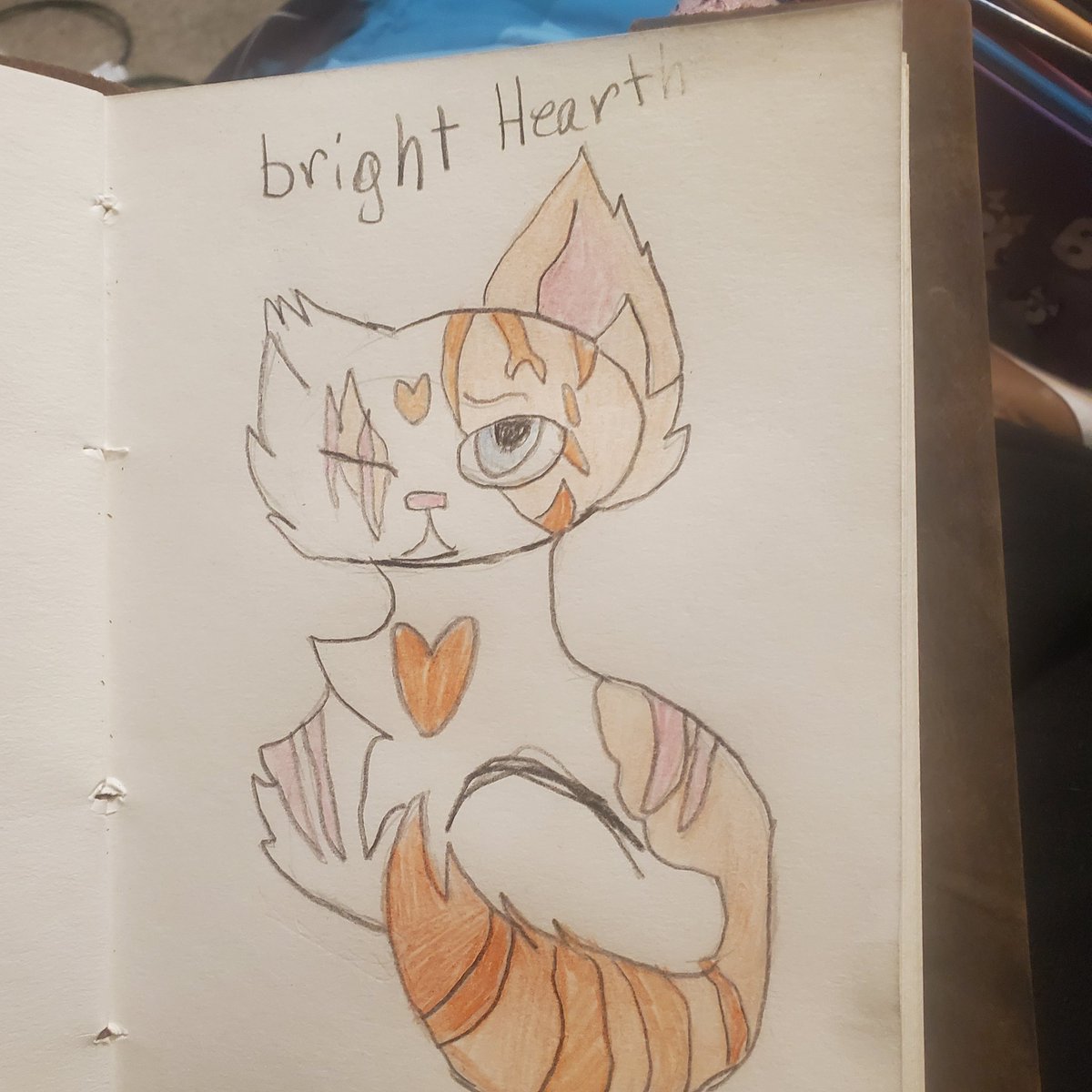 potatoFox2001's tweet photo. brightheart art #artist #warriorcatsart #brightheartwarriorcats #artwork #brightheart https://t.co/Q2iOzOUfwS