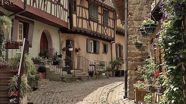 nanda🐭 tweet media