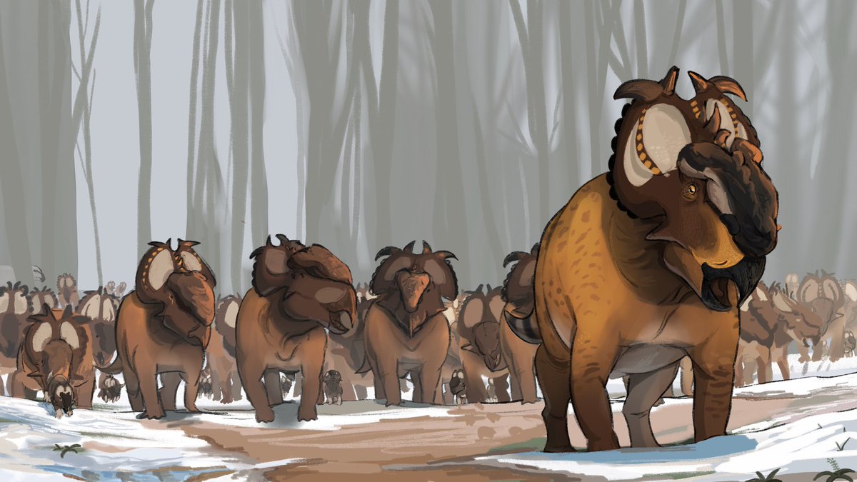 A male Pachyrhinosaurus leading his herd out of a forest in early spring, searching for fresh resources to sustain the herd.