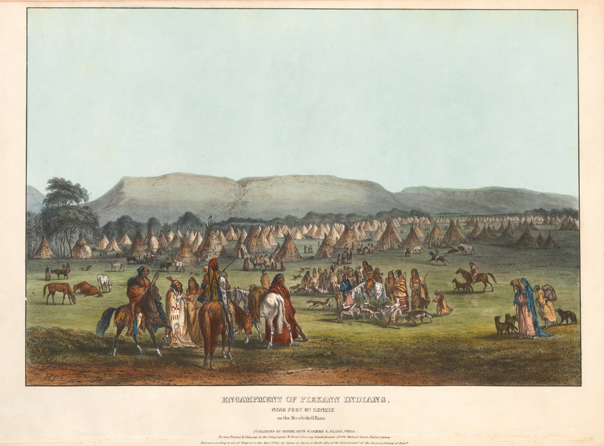 Karl Bodmer tweet media
