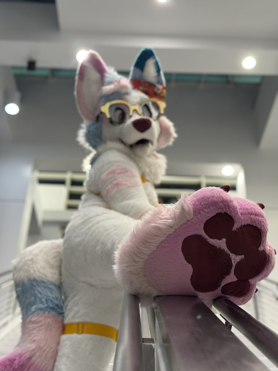 echo 🍭 🔜 tff tweet media