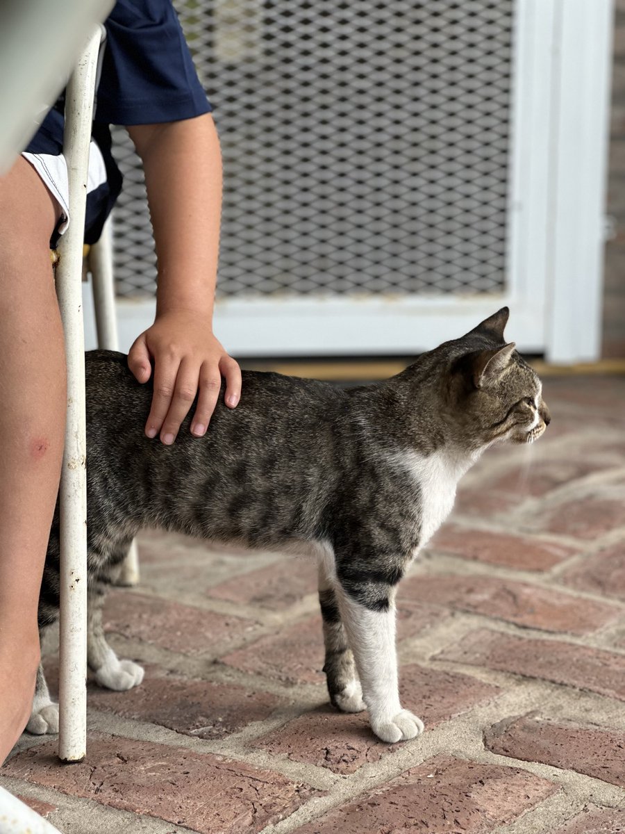 La historia continúa…