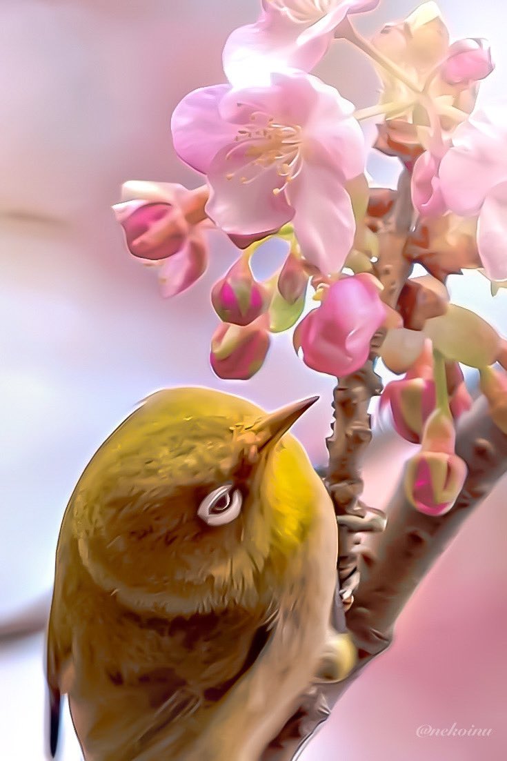 しょーき (@s_16523) / Posts / X