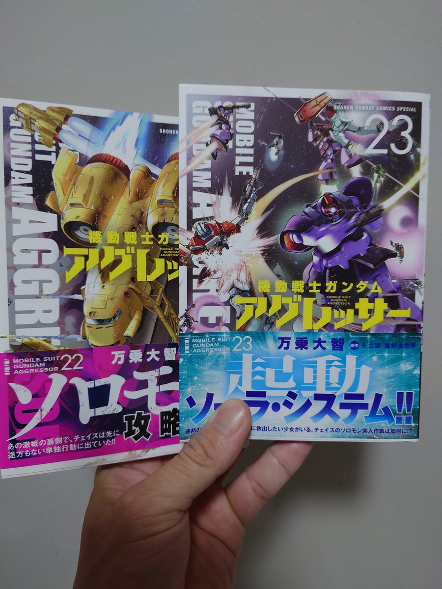 jgdjgdjgd 万乗先生朝からお辛い😢 少しずつアグレッサーを集め